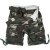 Division shorts, Surplus, woodland, M