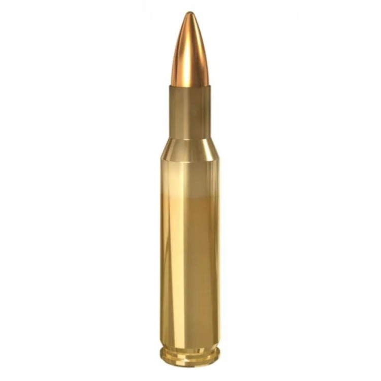 Ammo .223 Rem FMJ, S569, 3,6g (55gr), 20ks, Lapua